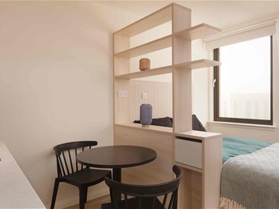 Picture 35